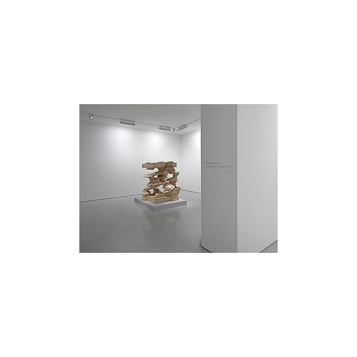 Tony Cragg, Lisson Gallery X Artplinths