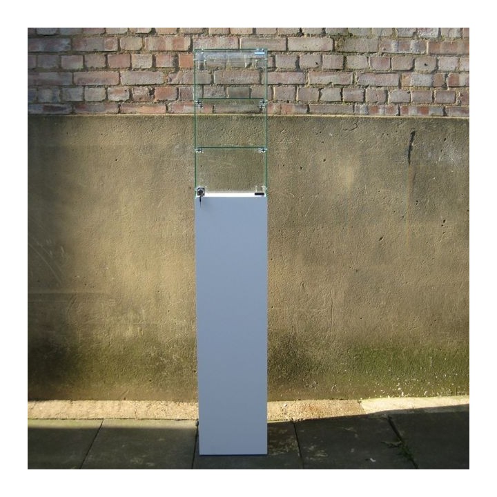 Glass display case and  plinth (locking)