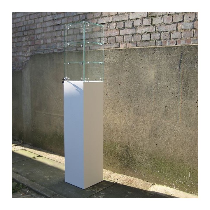 glass case and plinth uk for sale