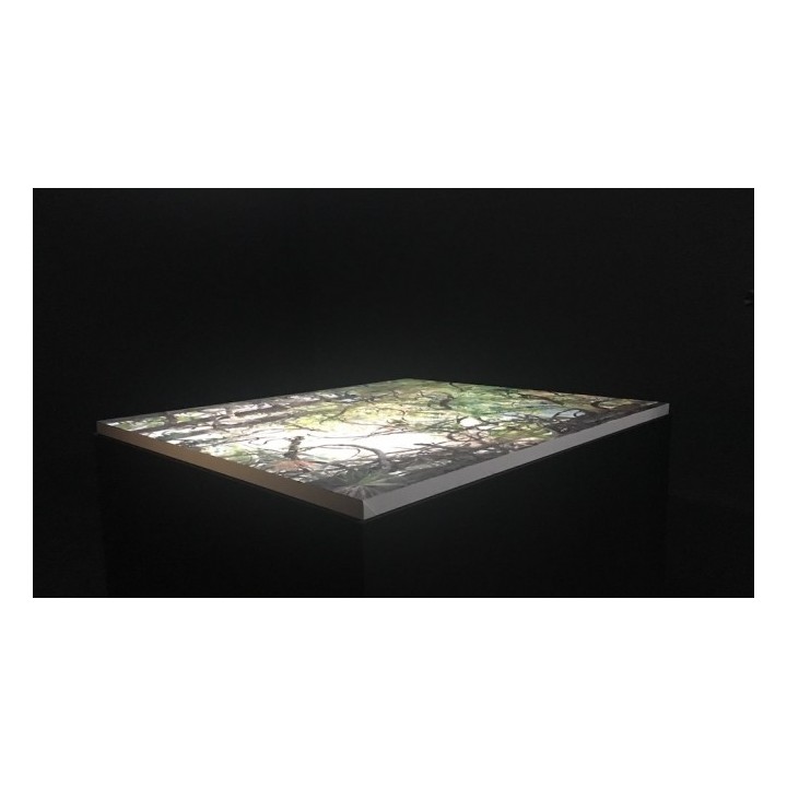Jim Hodges at Stephen Friedman Gallery