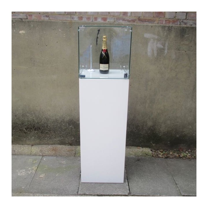 SALE Glass Display Case 40cm locking