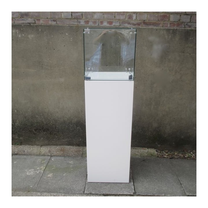 HIRE Glass Display Case 40cm locking