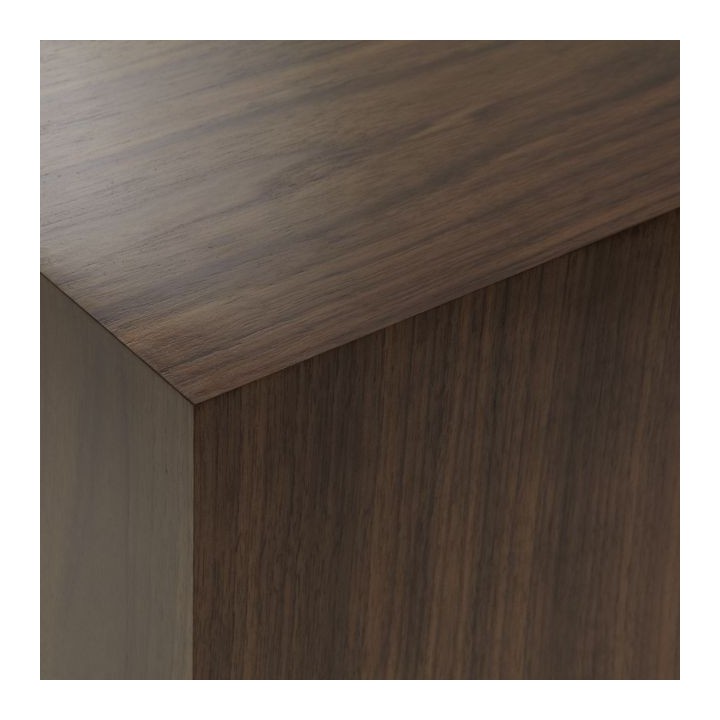 American black walnut 