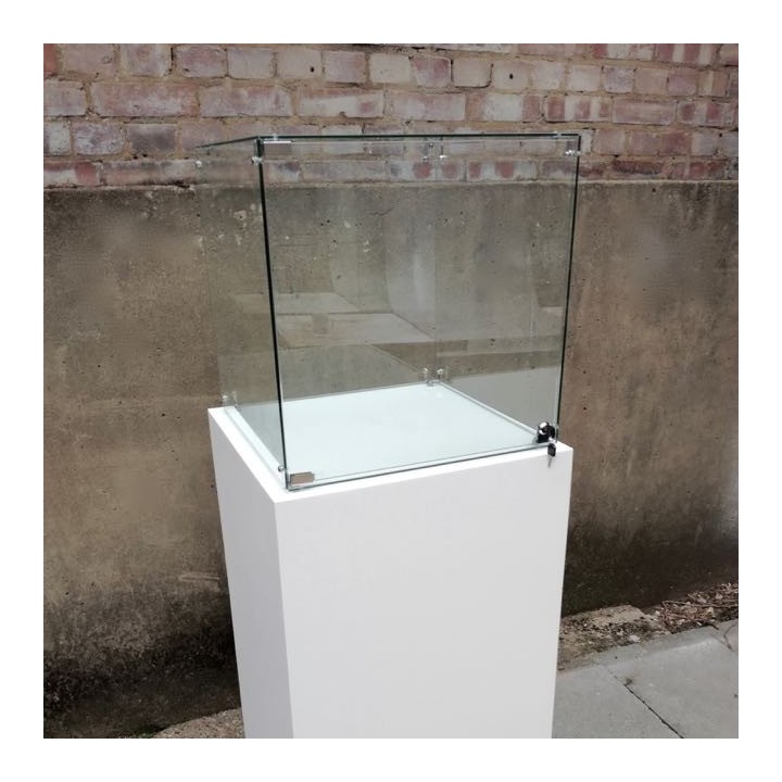 SALE Glass Display Case 55cm locking