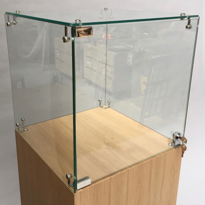 Glass Display Case & Hardwoood Plinth