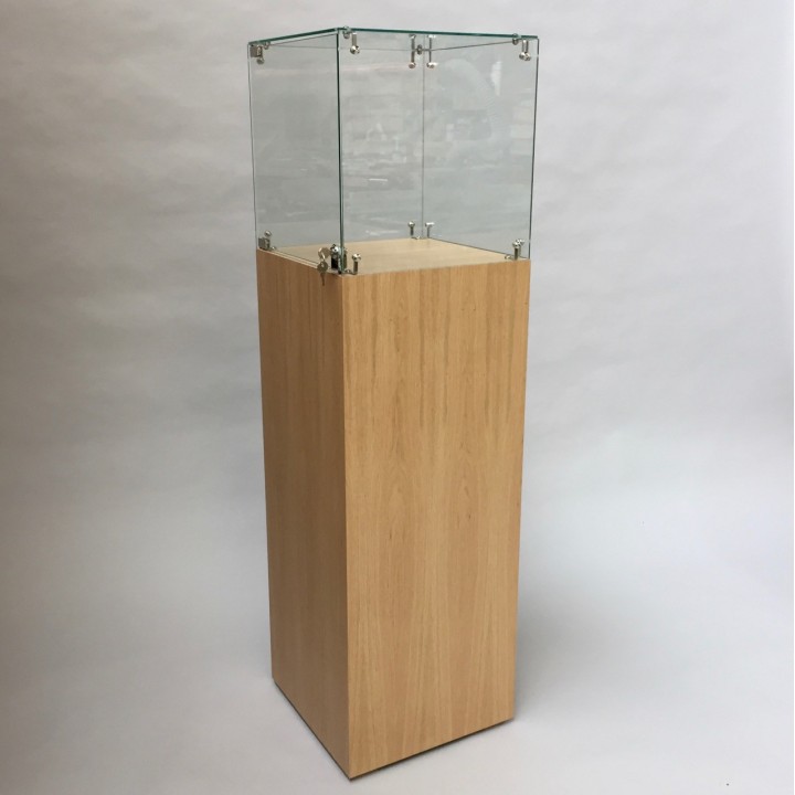 Glass Display Case & Hardwoood Plinth