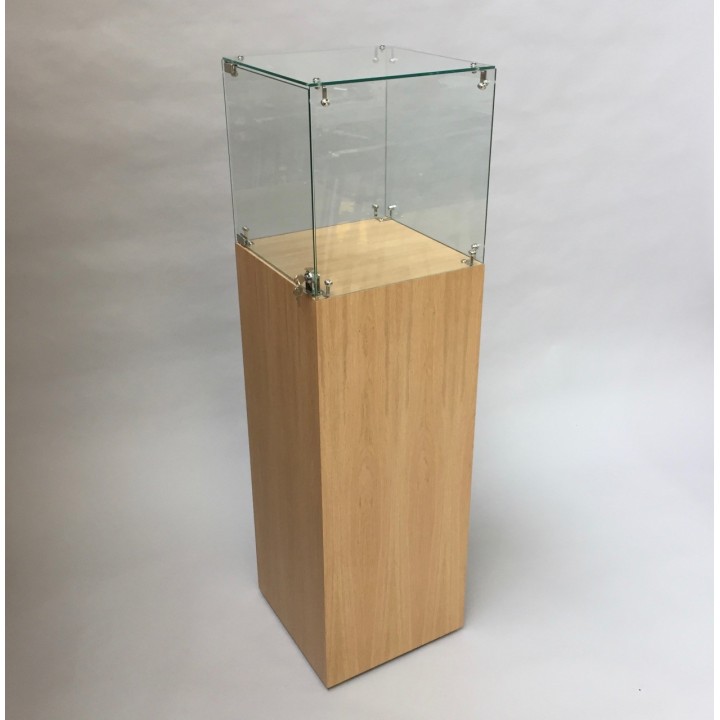 Glass Display Case & Hardwoood Plinth