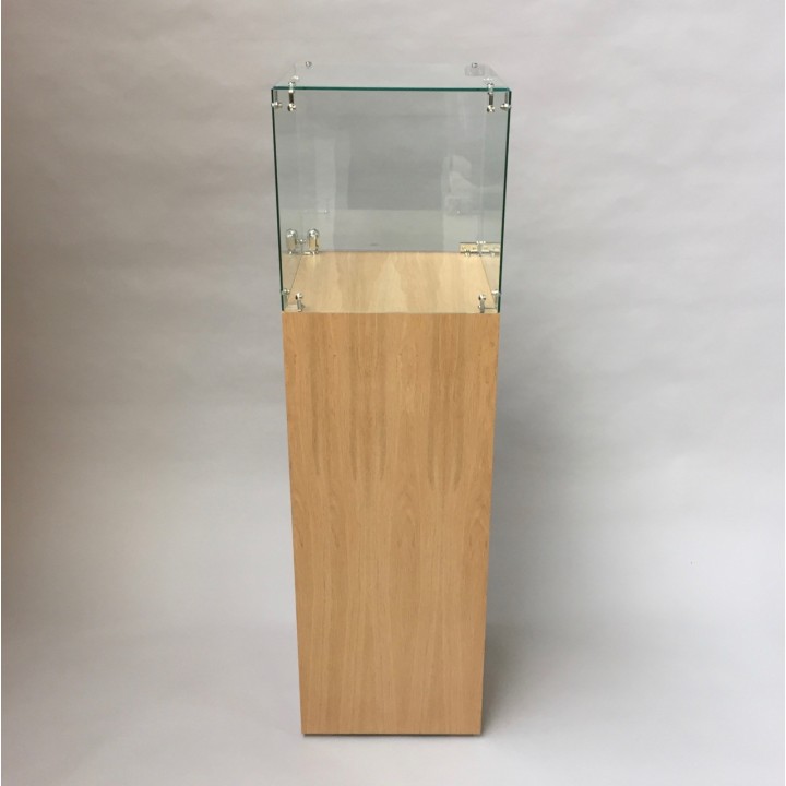 Glass Display Case & Hardwoood Plinth