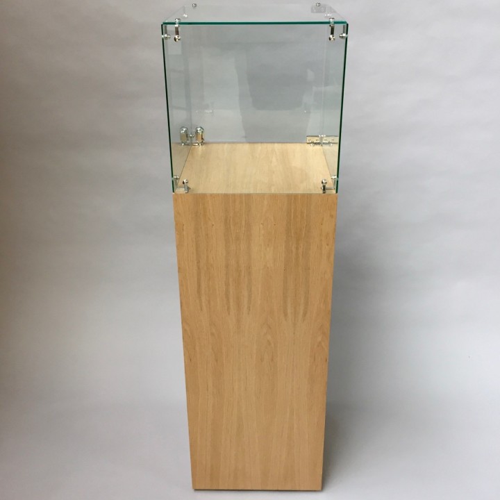 Glass Display Case & Hardwoood Plinth