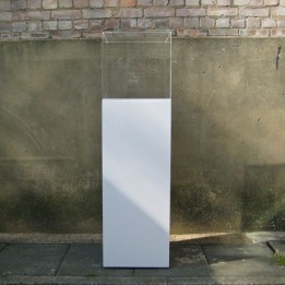plinth & perpex hood