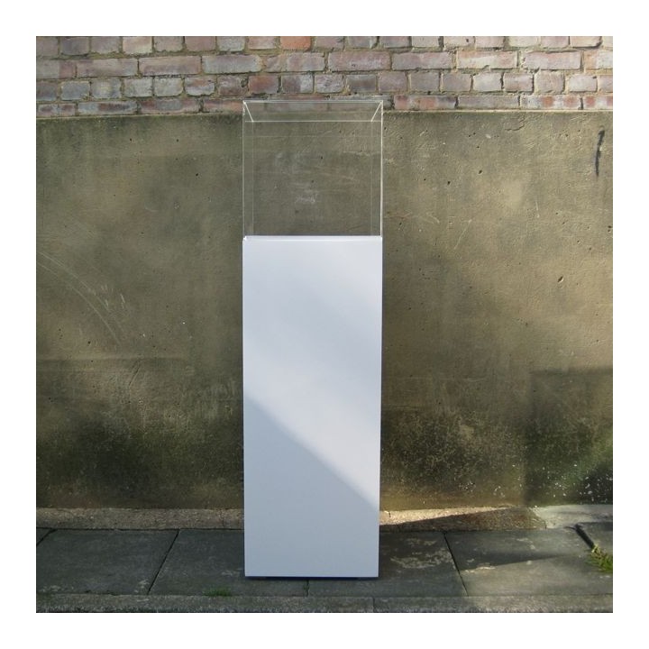 plinth & perpex hood