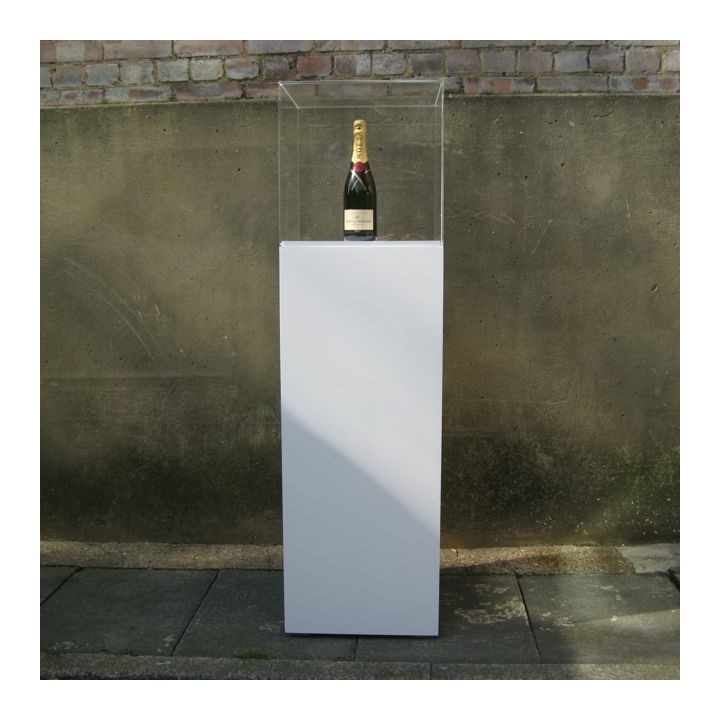 artplinth & perspex hood