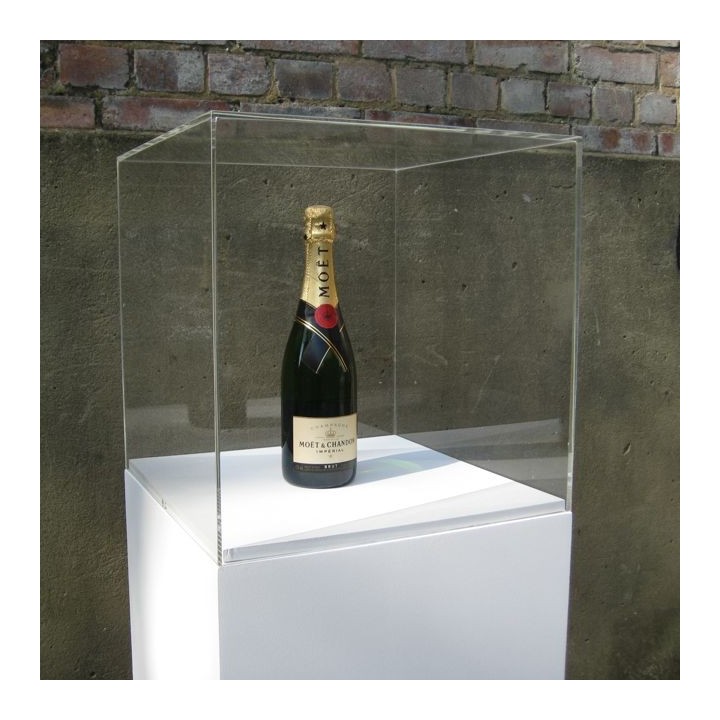 Plinth & perspex display case