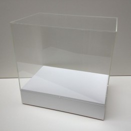 Table top plinth and display case