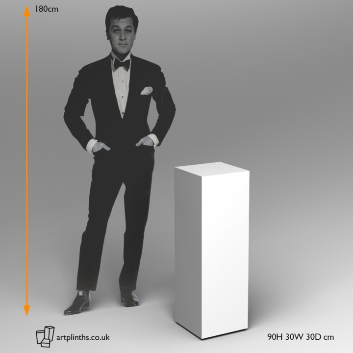 90H x 30W x 30D cm plainted artplinths