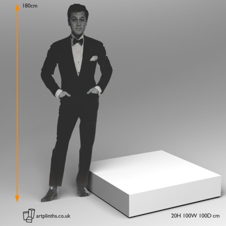 20H x 100W x 100D cm